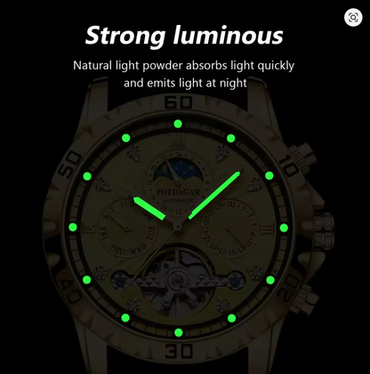 Titan Chrono X - Poedagar Luxury Men's Chronograph Watch Gold & Silver